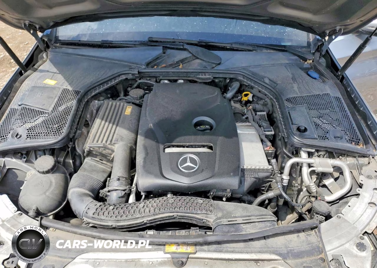 2016 Mercedes-Benz C 300 VIN:55SWF4JB2GU158303 - 11