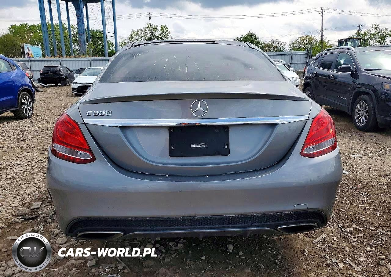 2016 Mercedes-Benz C 300 VIN:55SWF4JB2GU158303 - 6