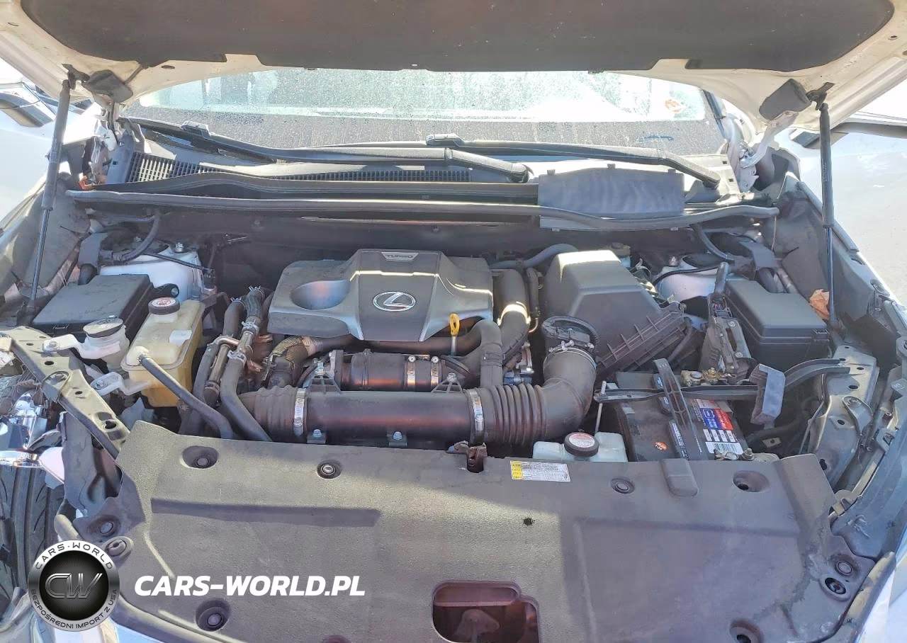 2016 Lexus Nx VIN:JTJYARBZ4G2022353 - 11