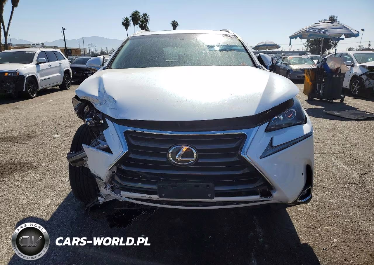 2016 Lexus Nx VIN:JTJYARBZ4G2022353 - 5