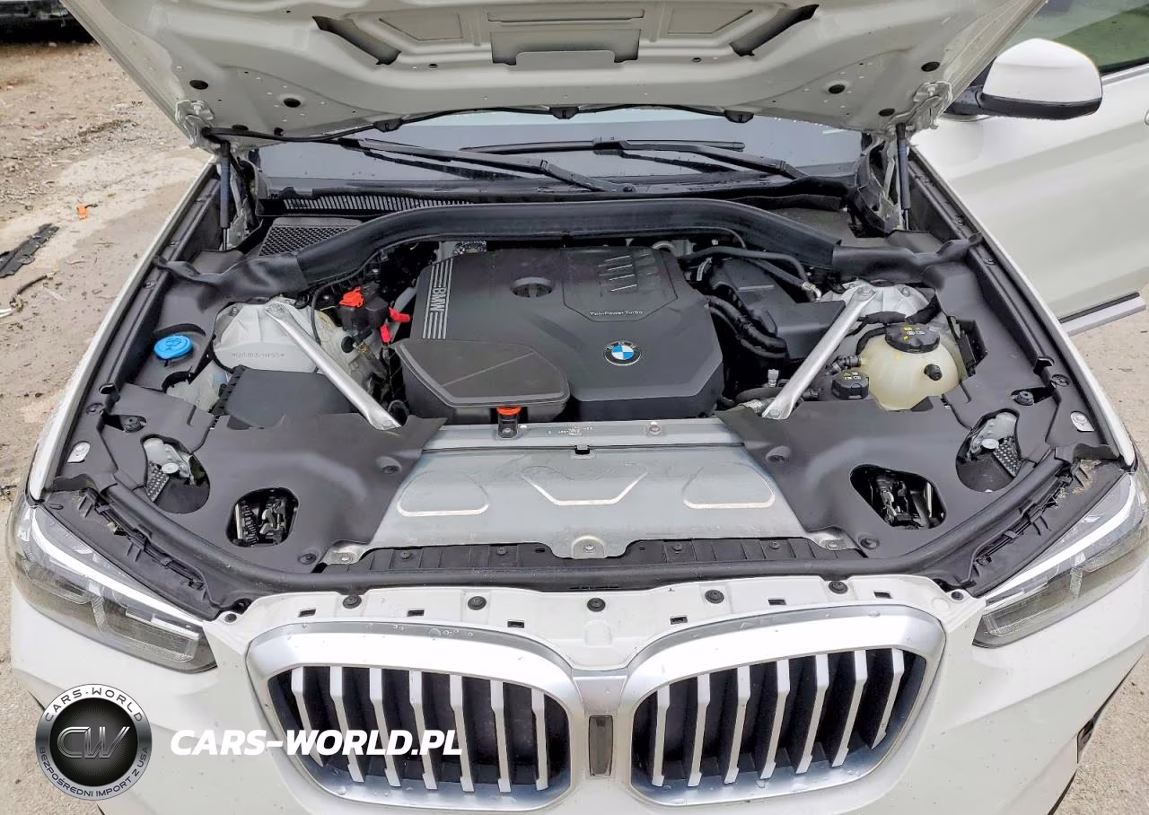 2023 BMW X3 xDrive30I VIN:5UX53DP05P9R07535 - 12