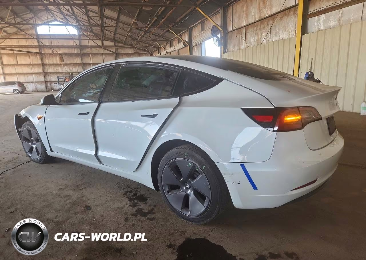 2023 Tesla Model 3 VIN:5YJ3E1EA9PF598249 - 2