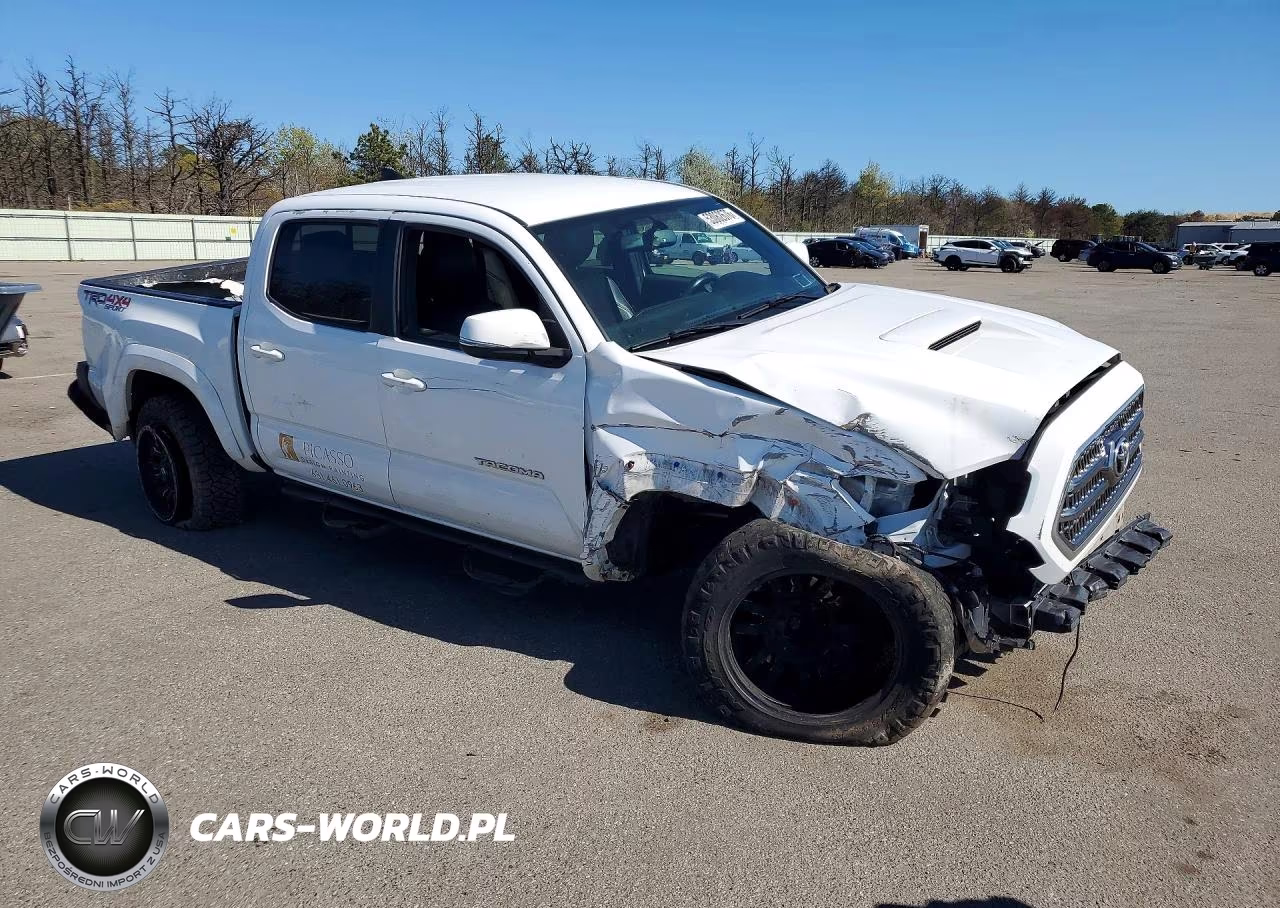 2016 Toyota Tacoma Trd Sport VIN:5TFCZ5AN2GX038633 - 4