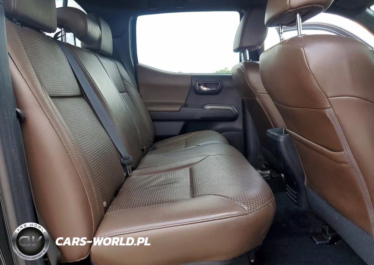 2019 Toyota Tacoma Limited VIN:5TFGZ5AN8KX175358 - 10