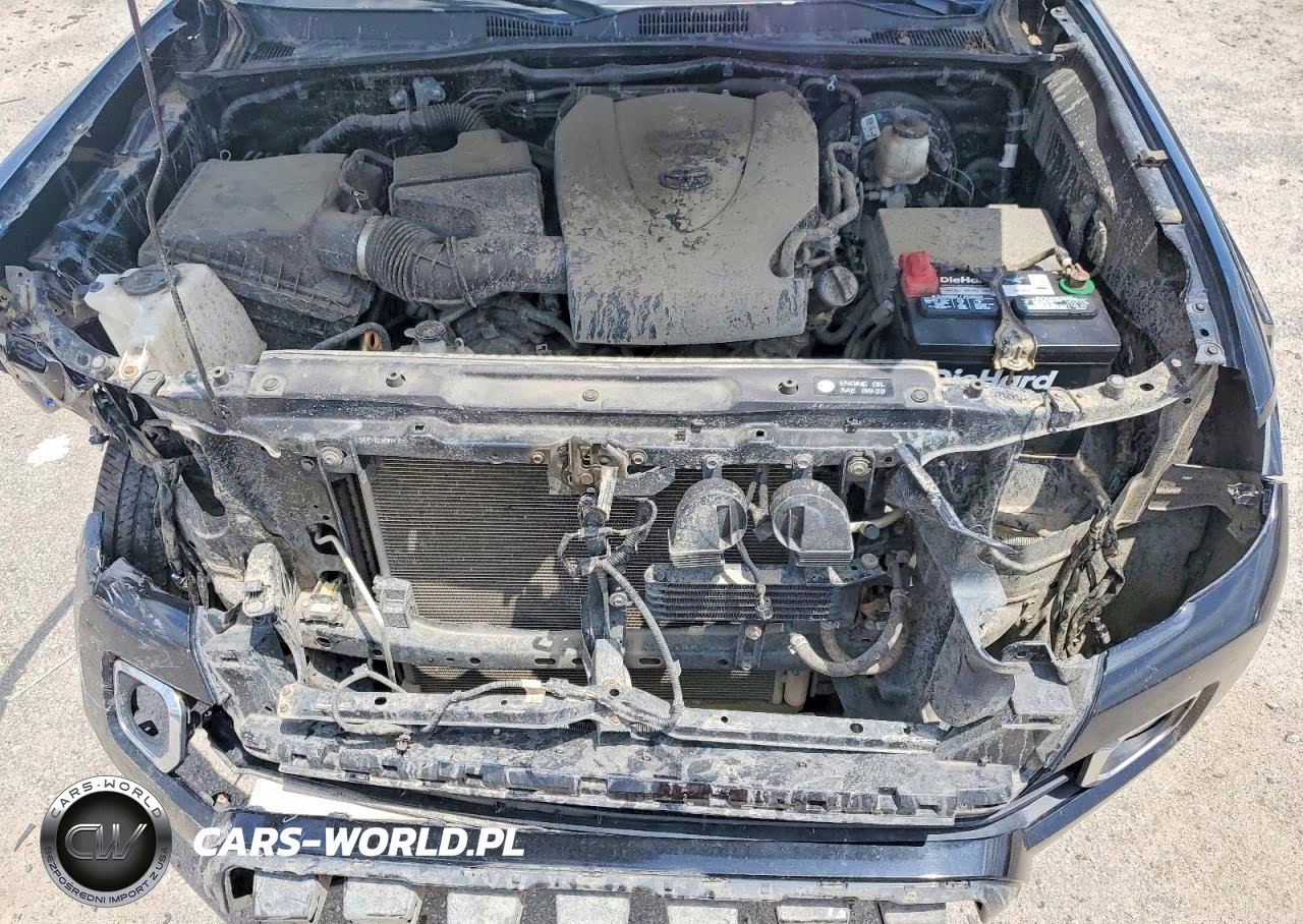 2019 Toyota Tacoma Limited VIN:5TFGZ5AN8KX175358 - 11
