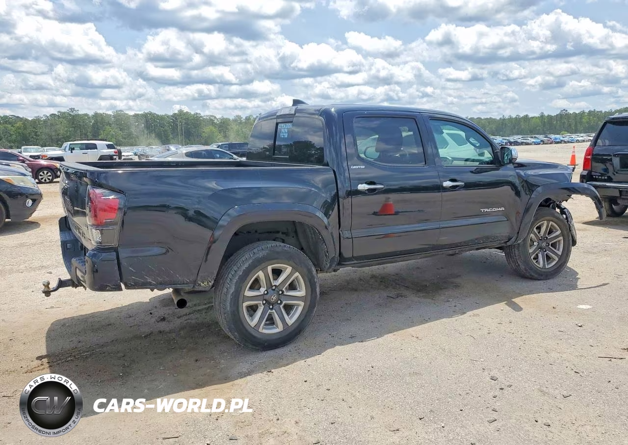 2019 Toyota Tacoma Limited VIN:5TFGZ5AN8KX175358 - 3