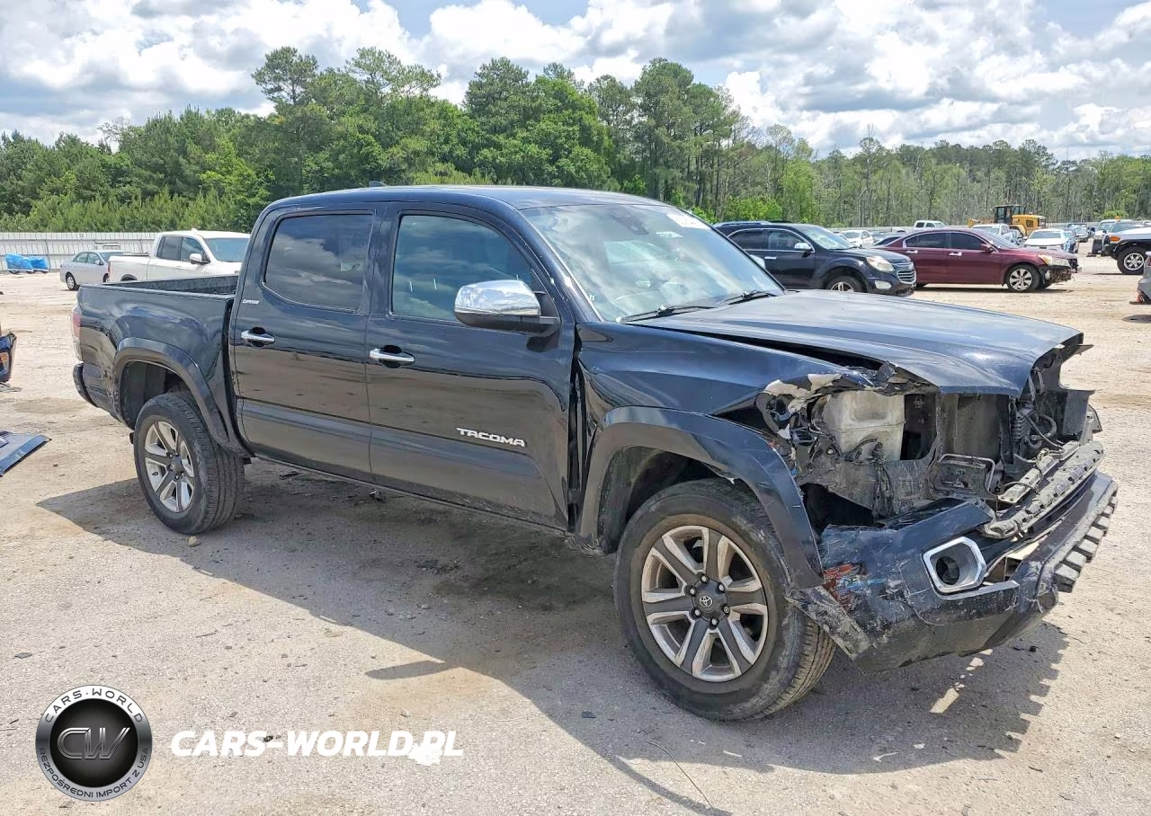 2019 Toyota Tacoma Limited VIN:5TFGZ5AN8KX175358 - 4