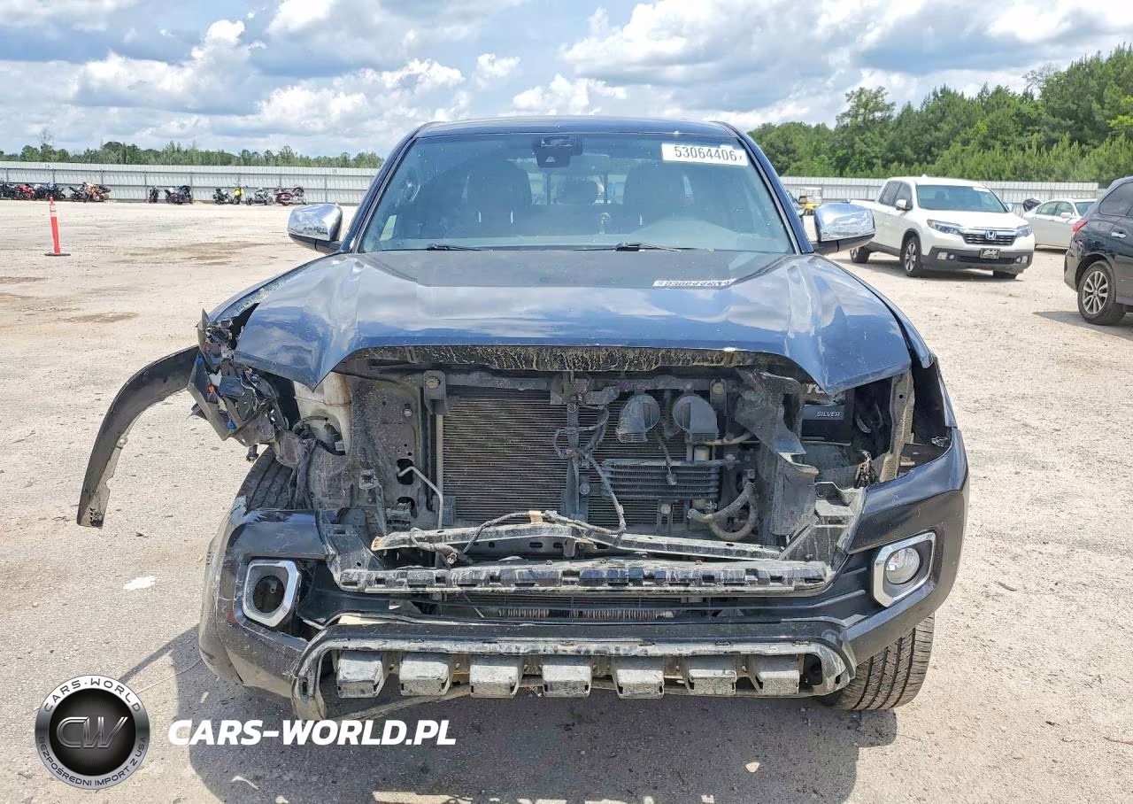 2019 Toyota Tacoma Limited VIN:5TFGZ5AN8KX175358 - 5