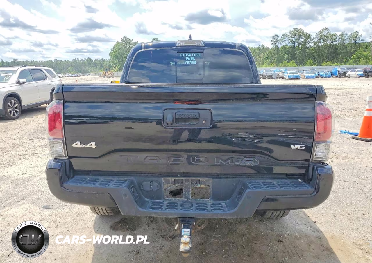 2019 Toyota Tacoma Limited VIN:5TFGZ5AN8KX175358 - 6