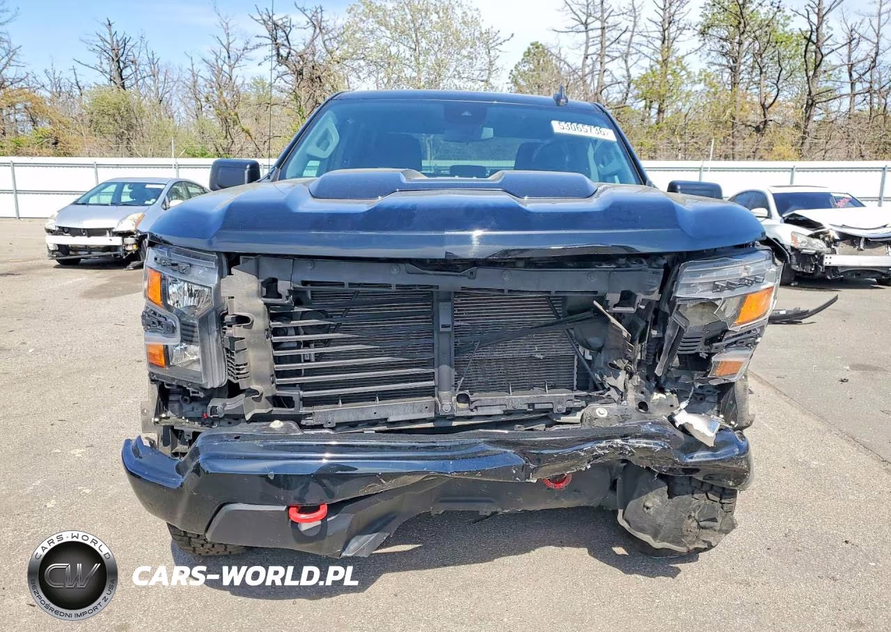 2022 Chevrolet Silverado K1500 Trail Boss Custom VIN:3GCPDCED1NG616132 - 5