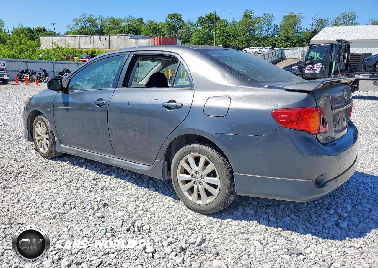 2010 Toyota Corolla S VIN:2T1BU4EE1AC505920 - 2