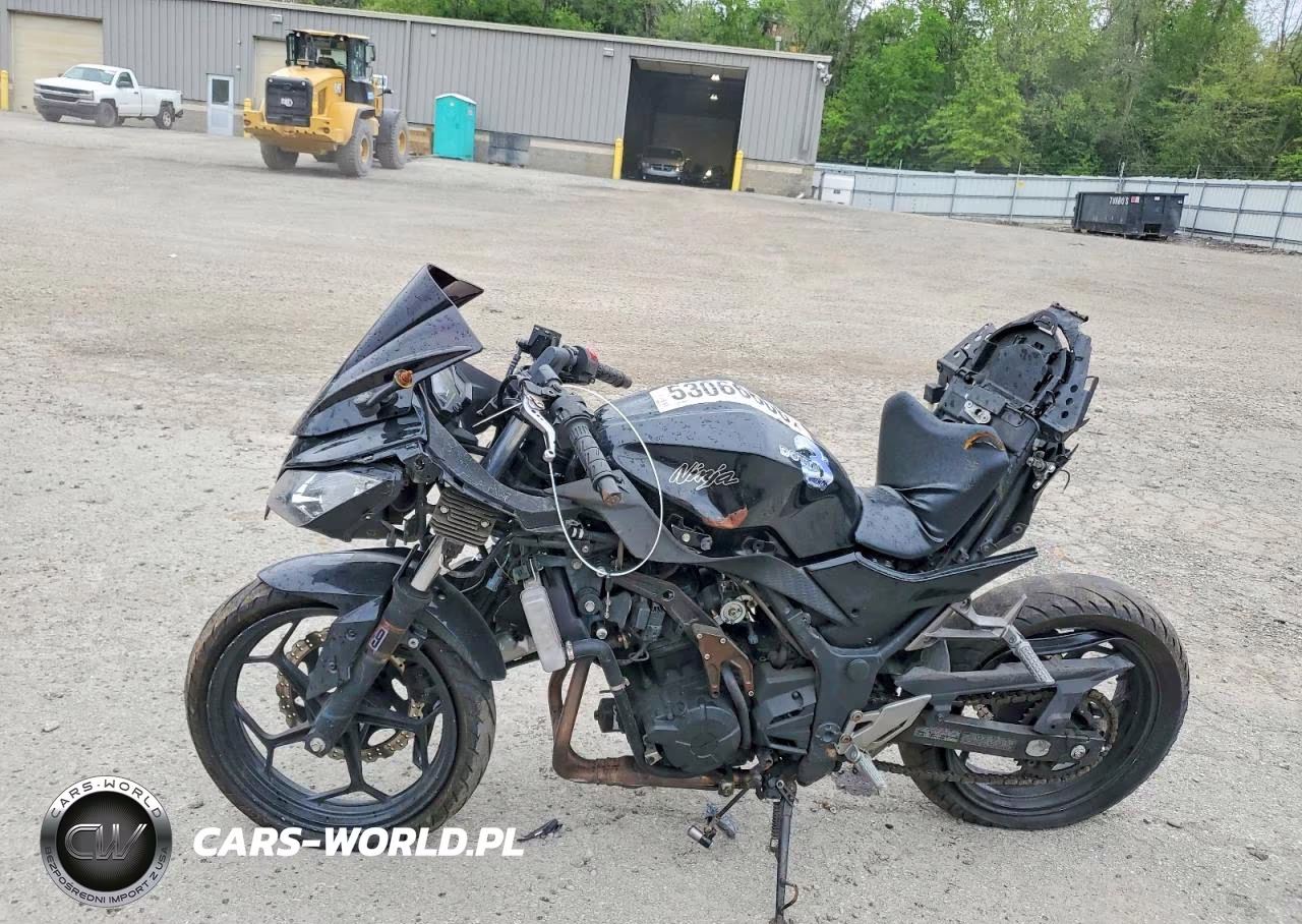 2013 Kawasaki Ex300 A VIN:JKAEX8A18DDA04039 - 3