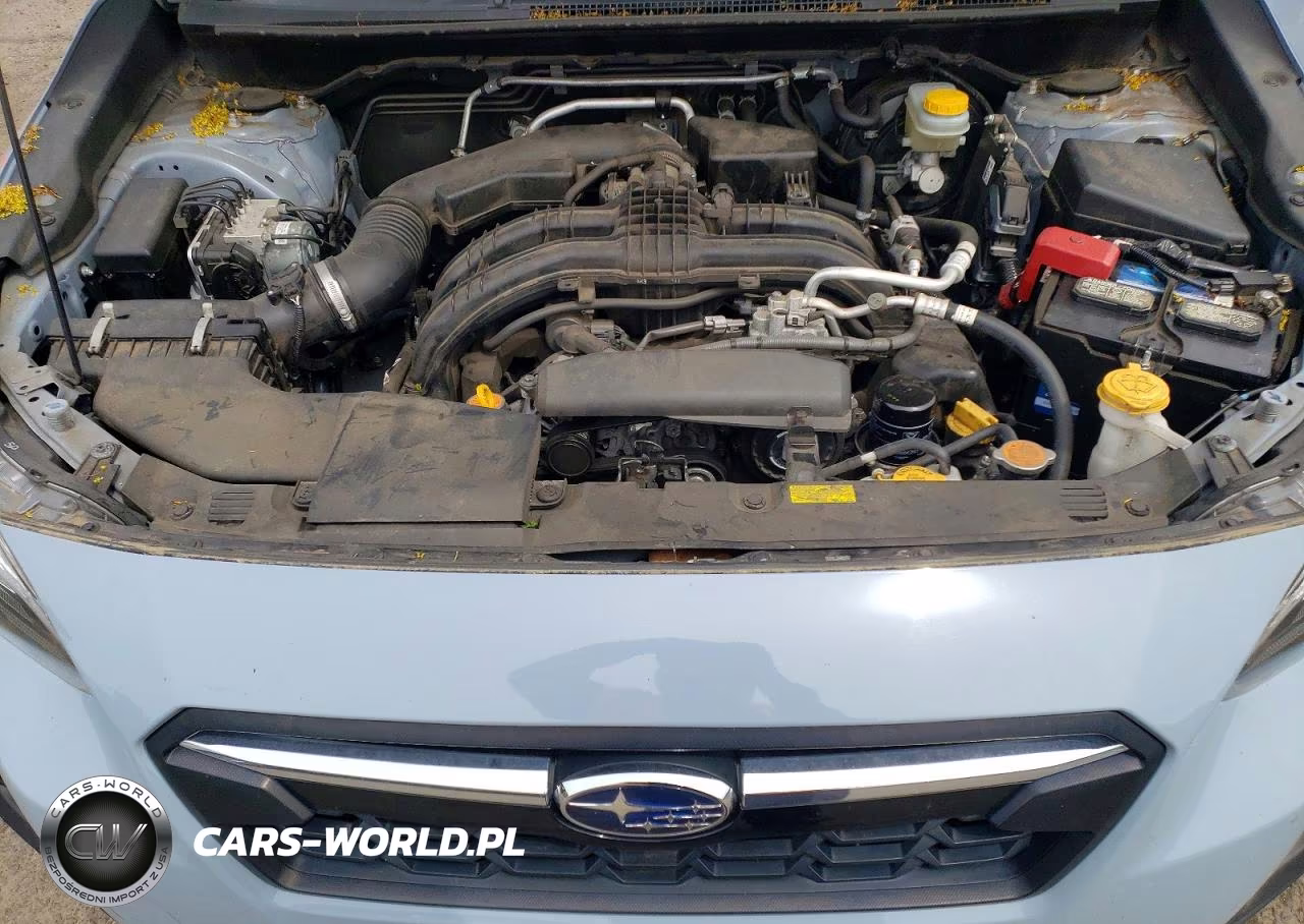 2019 Subaru Crosstrek Limited VIN:JF2GTAMC0K8384643 - 11