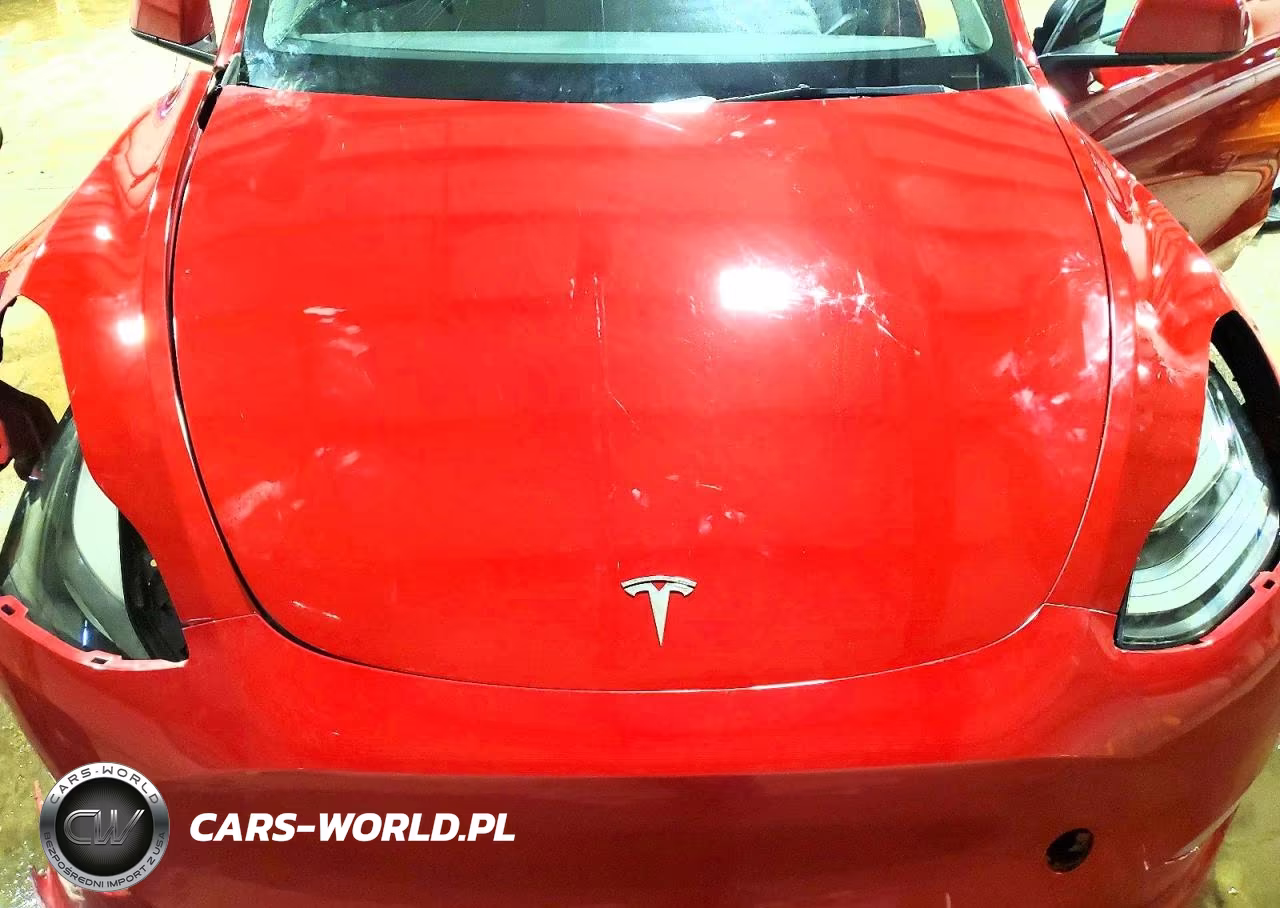 2023 Tesla Model Y VIN:7SAYGDEF5PF668104 - 11