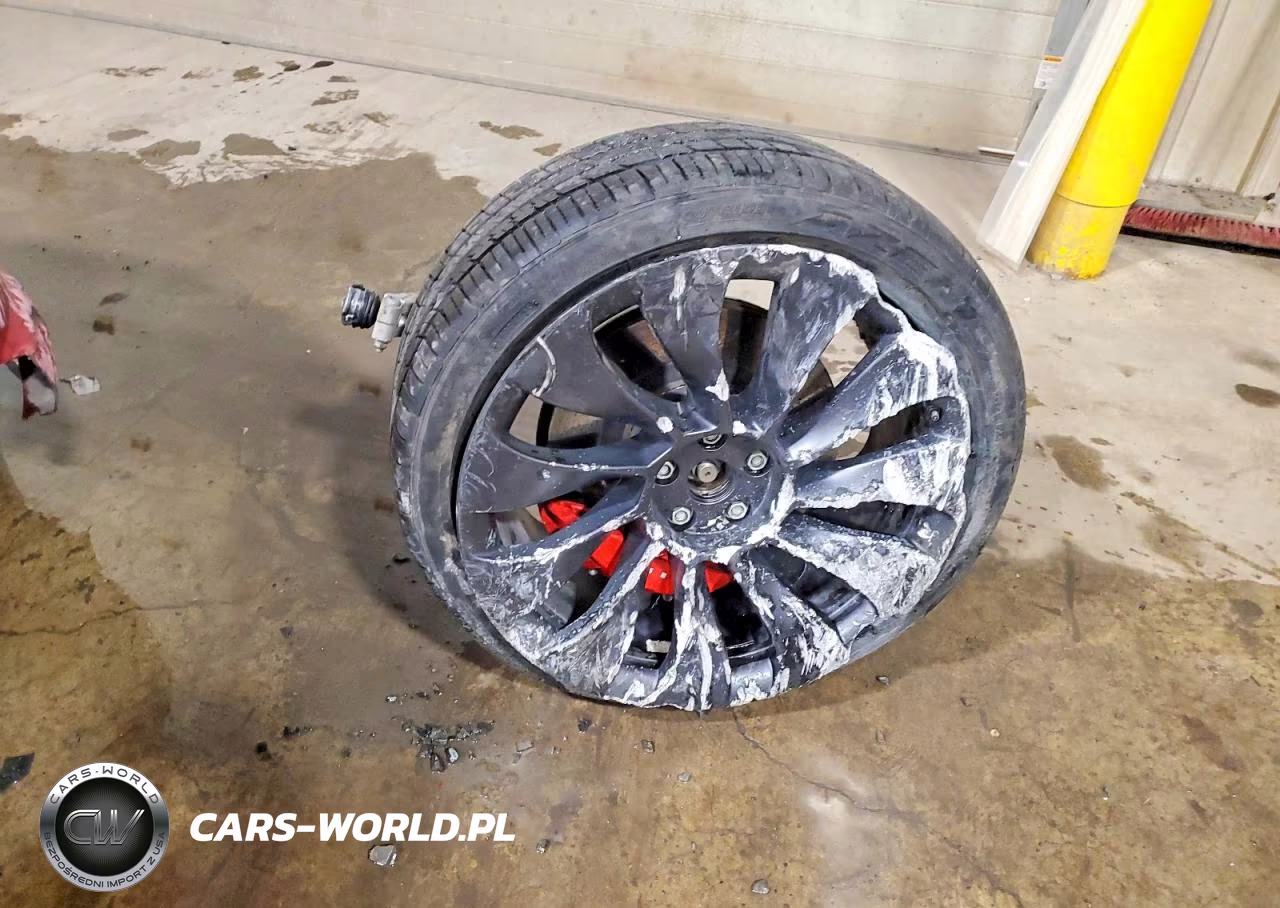 2023 Tesla Model Y VIN:7SAYGDEF5PF668104 - 12