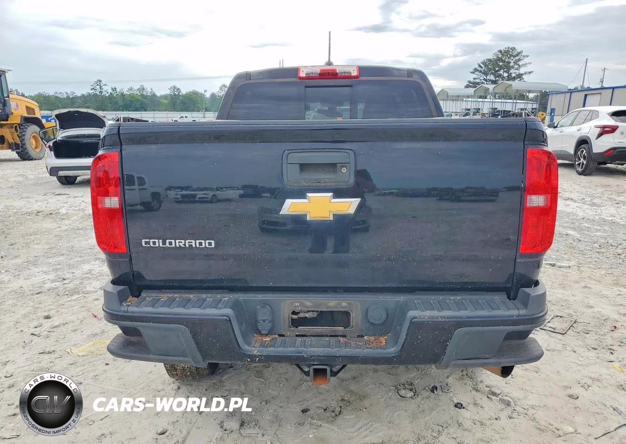 2017 Chevrolet Colorado Z71 VIN:1GCPTDE15H1163103 - 6