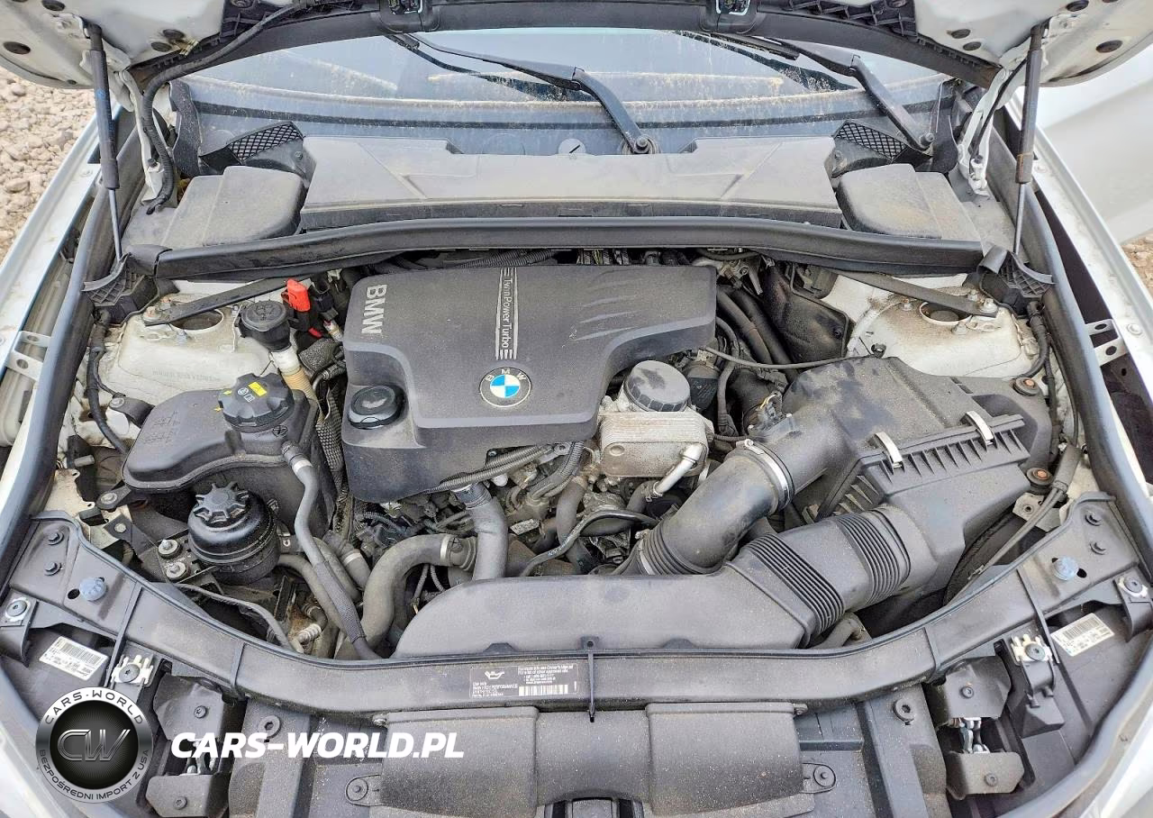 2015 BMW X1 VIN:WBAVL1C59FVY31810 - 12