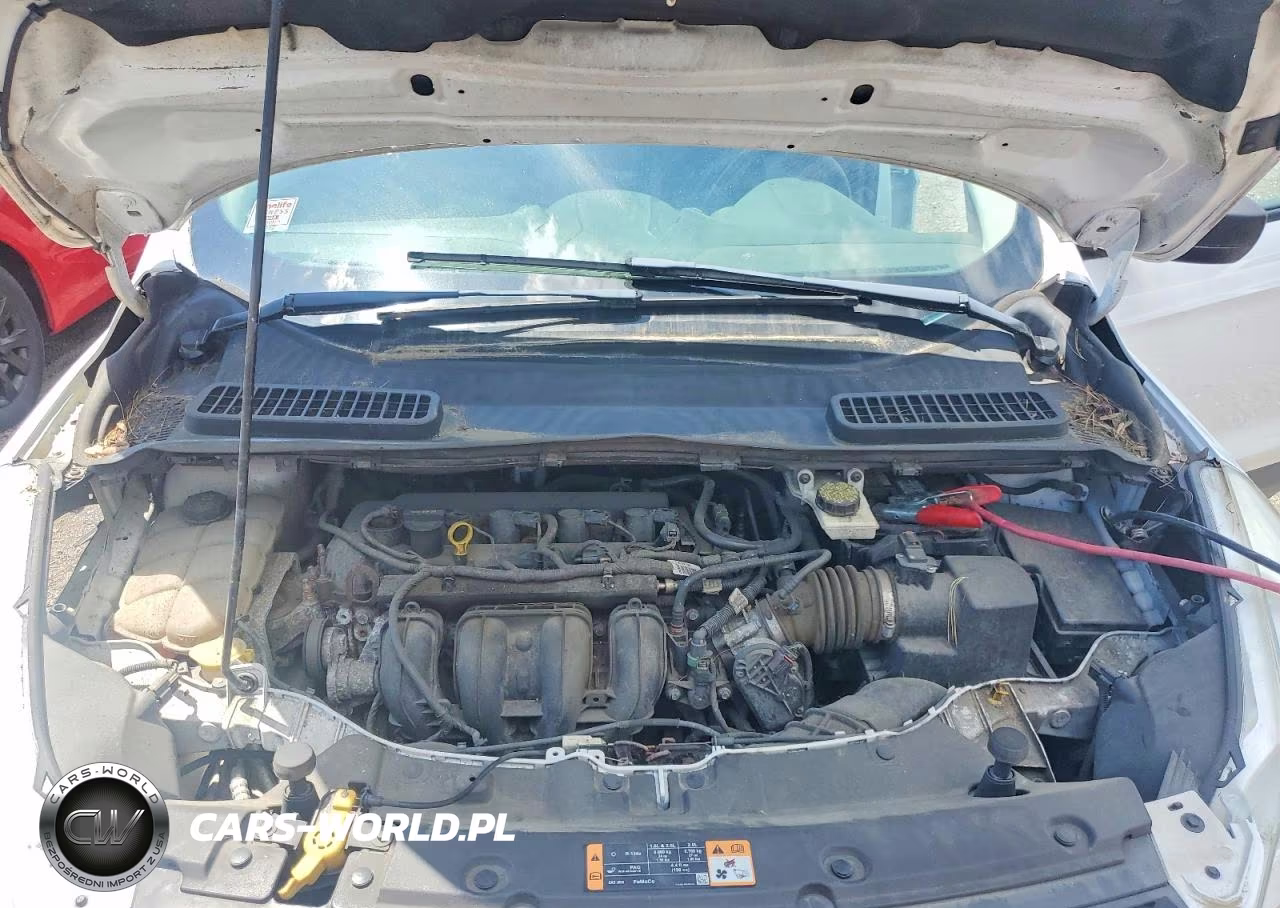 2014 Ford Escape VIN:1FMCU0F73EUB56311 - 12
