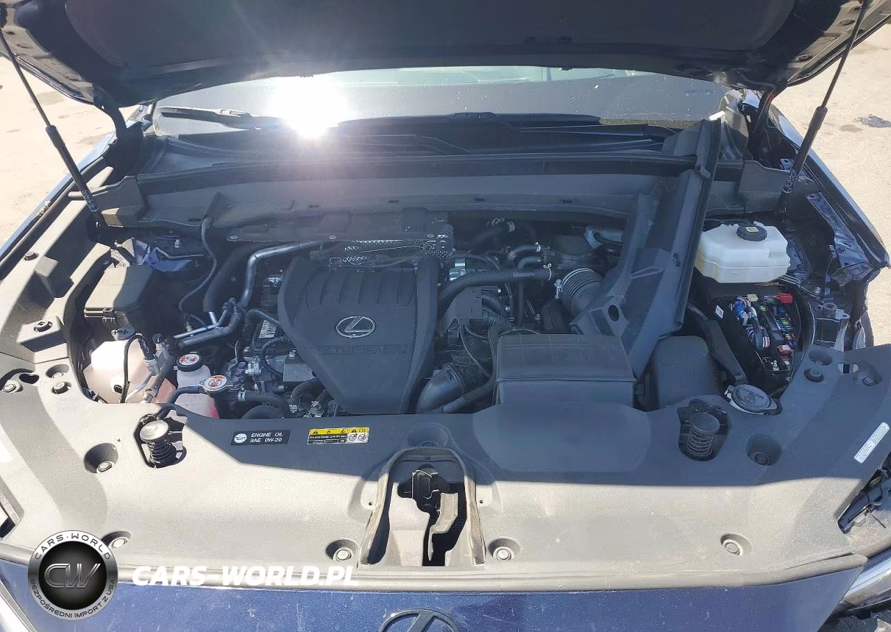 2025 Lexus Tx 500H F Sport Performance Luxury VIN:5TDABAB67SS013737 - 11