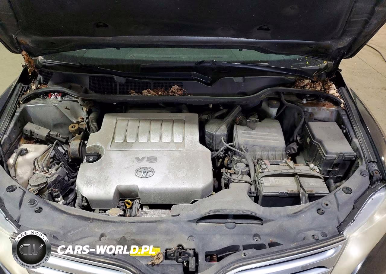 2009 Toyota Venza Fwd V6 VIN:4T3ZK11A69U002519 - 12