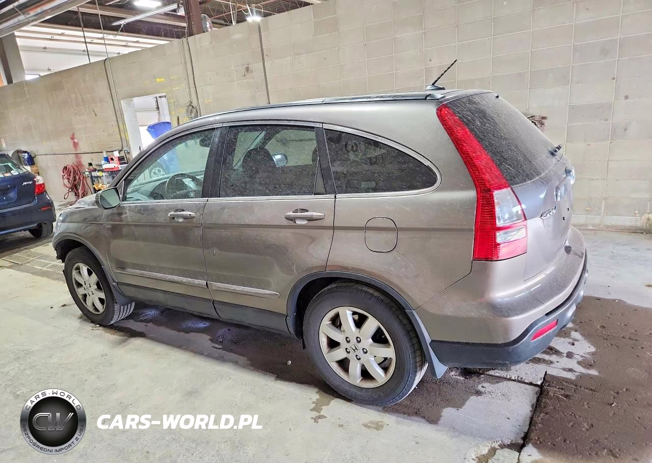 2009 Honda Cr-V Exl VIN:5J6RE48759L049539 - 2