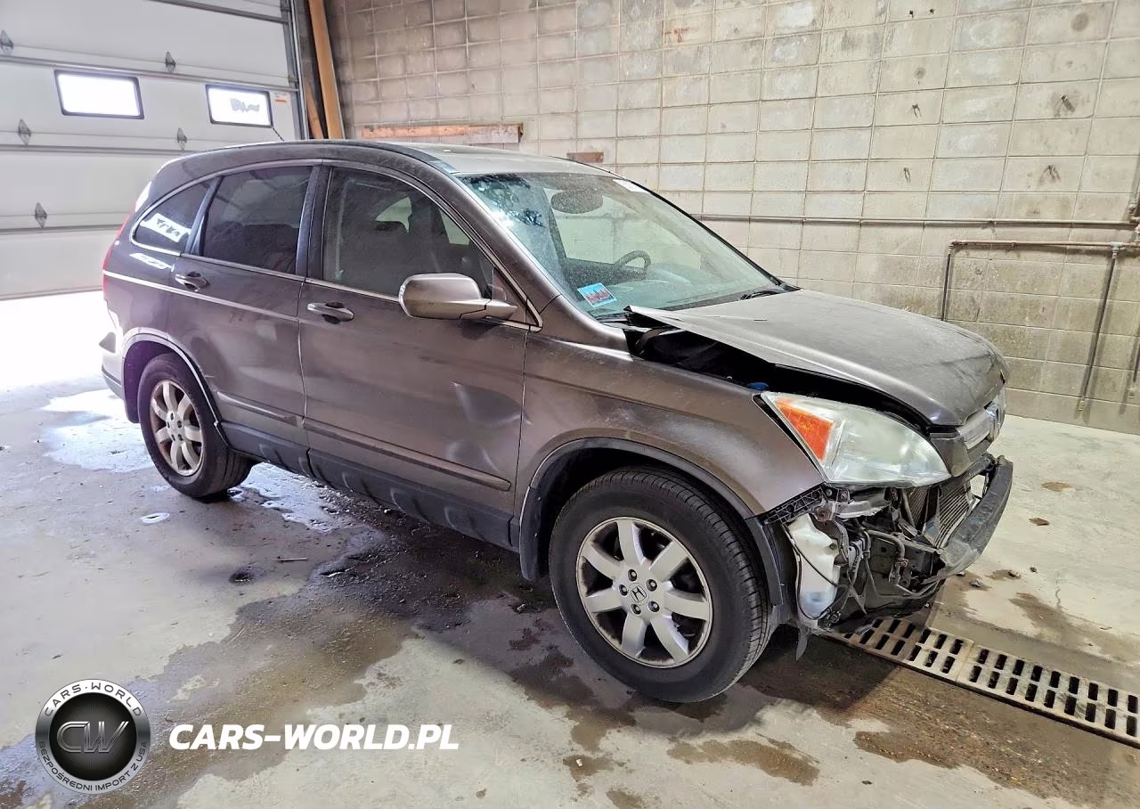 2009 Honda Cr-V Exl VIN:5J6RE48759L049539 - 4