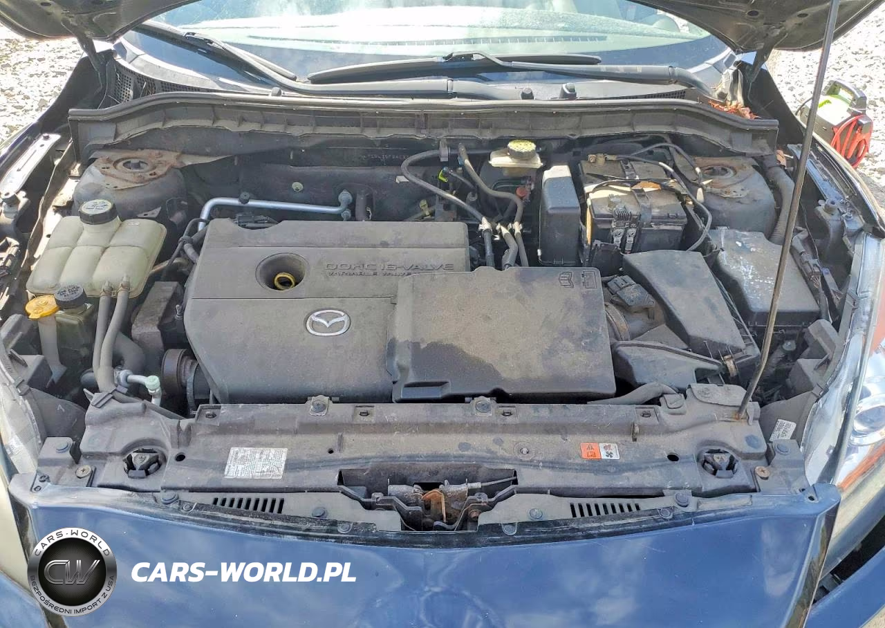 2010 Mazda 3 I VIN:JM1BL1SF9A1231563 - 11