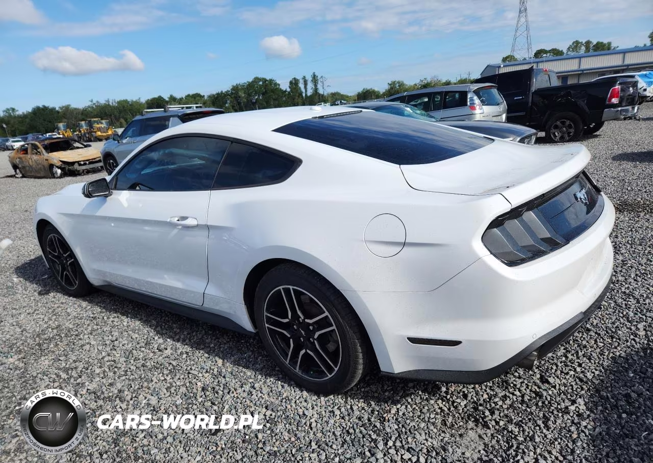 2018 Ford Mustang VIN:1FA6P8TH6J5183257 - 2