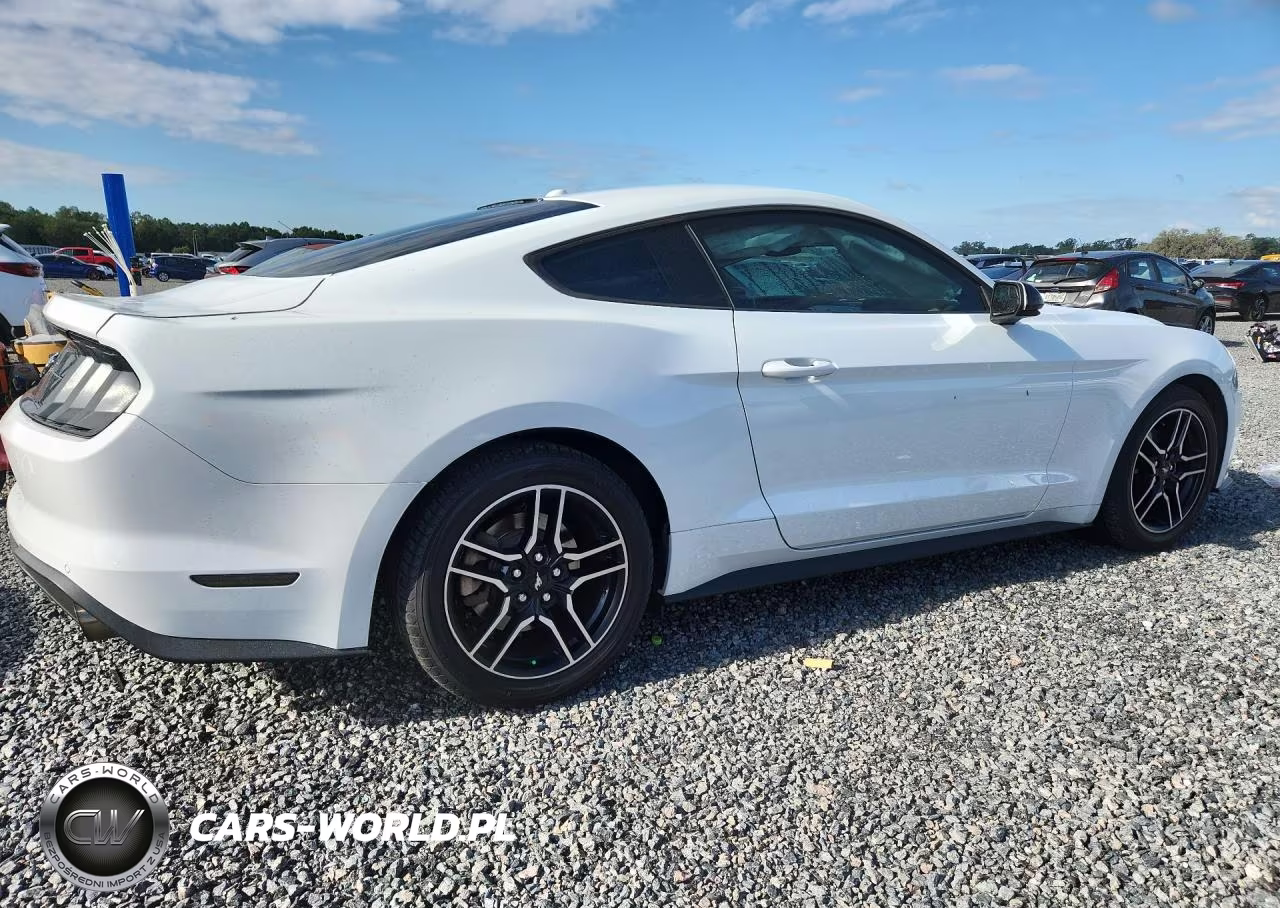 2018 Ford Mustang VIN:1FA6P8TH6J5183257 - 3