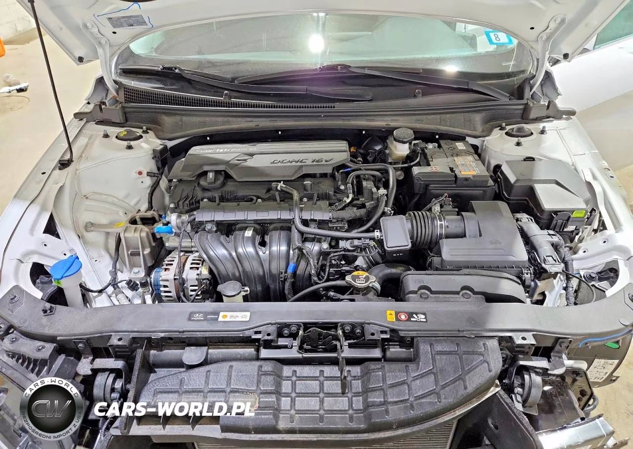 2025 Hyundai Elantra Sel VIN:KMHLS4DG3SU909802 - 11
