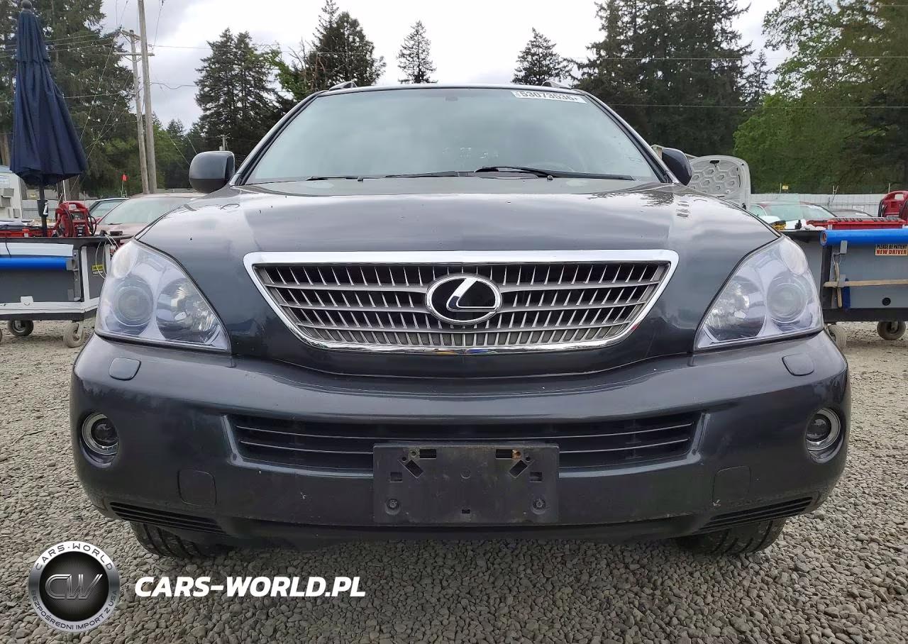 2008 Lexus Rx 400H VIN:JTJHW31U482046531 - 5