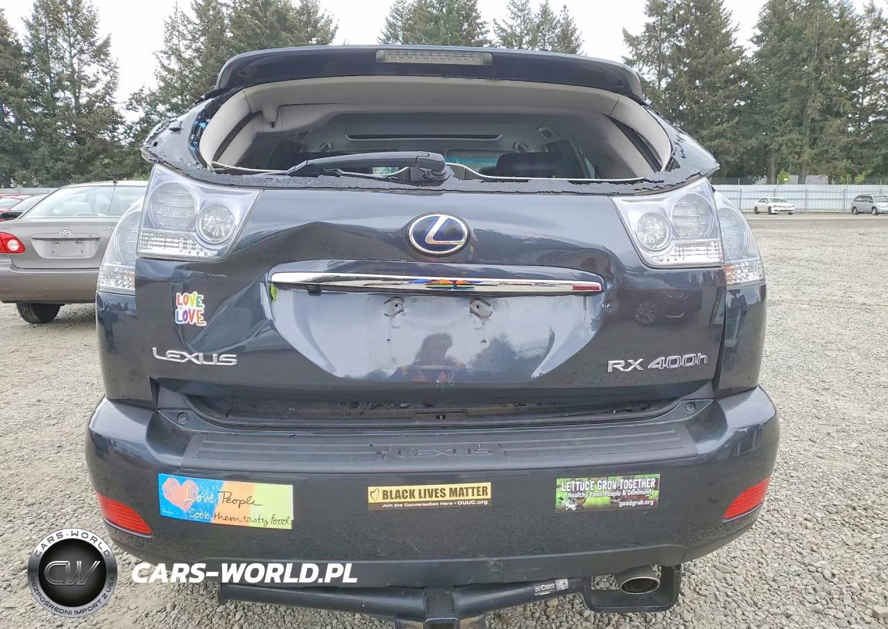 2008 Lexus Rx 400H VIN:JTJHW31U482046531 - 6
