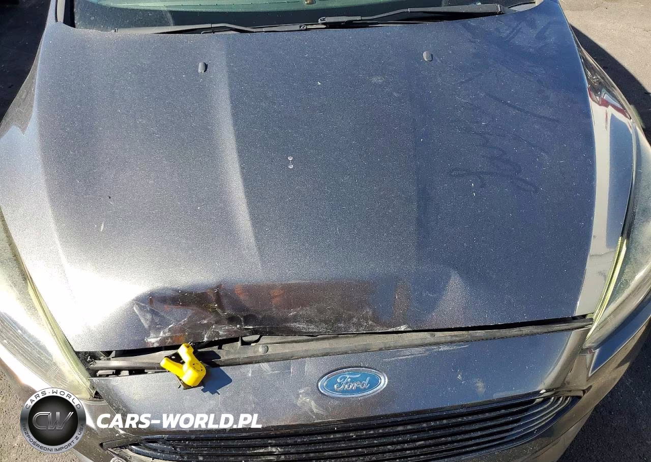 2018 Ford Focus Se VIN:1FADP3FE4JL241177 - 11
