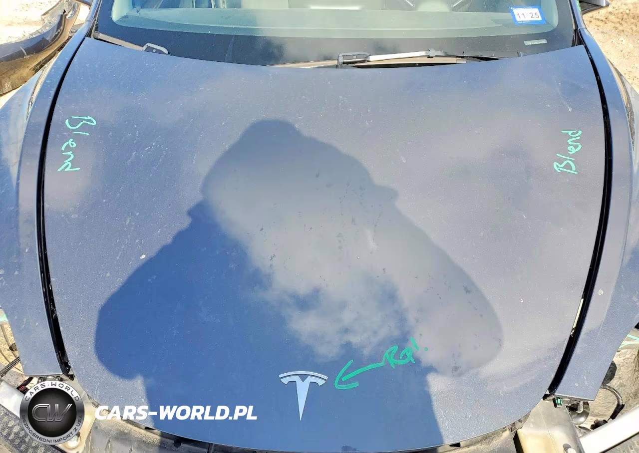 2023 Tesla Model 3 VIN:5YJ3E1EA7PF672168 - 12