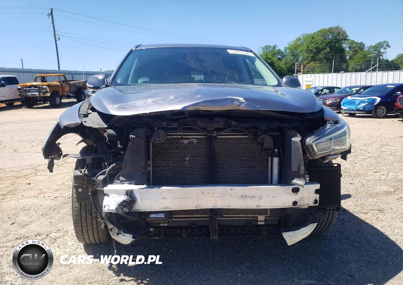 2020 Infiniti Qx60 Pure VIN:5N1DL0MM1LC531809 - 5