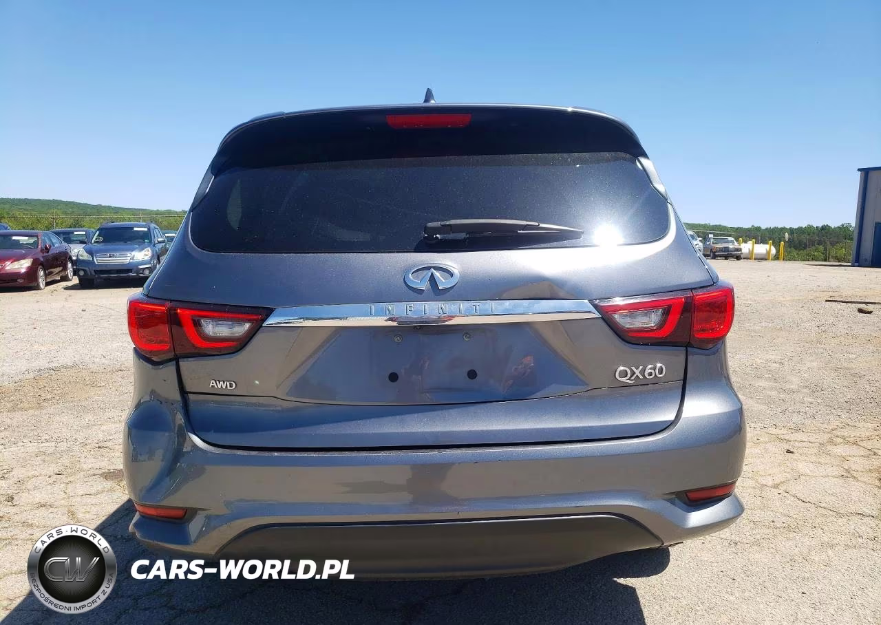 2020 Infiniti Qx60 Pure VIN:5N1DL0MM1LC531809 - 6