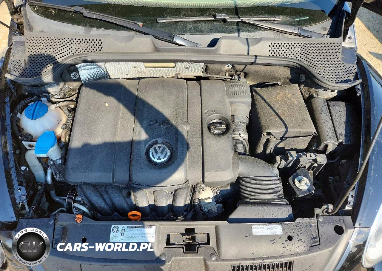 2013 Volkswagen Beetle VIN:3VWJP7AT5DM685288 - 11
