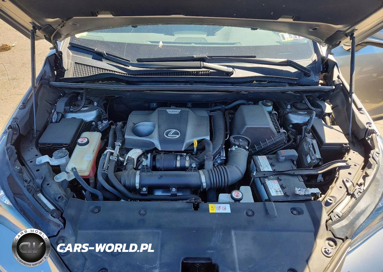 2018 Lexus Nx 300 Base VIN:JTJBARBZ7J2166038 - 12