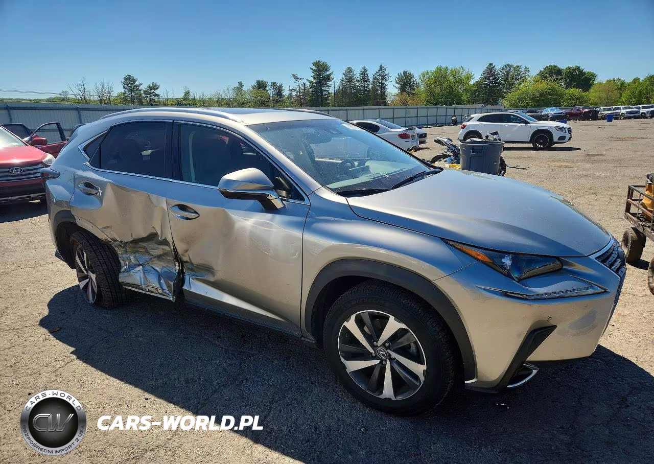 2018 Lexus Nx 300 Base VIN:JTJBARBZ7J2166038 - 4