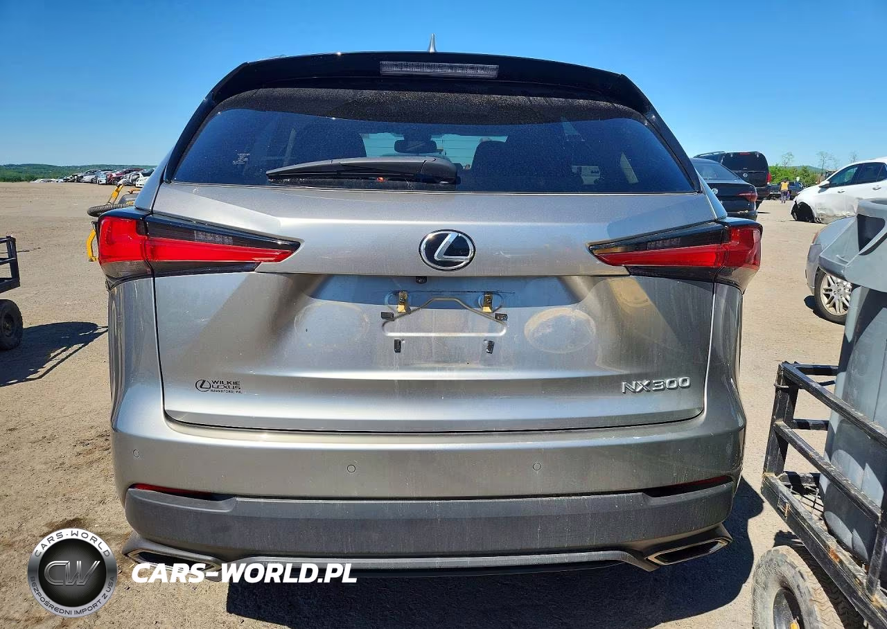 2018 Lexus Nx 300 Base VIN:JTJBARBZ7J2166038 - 6