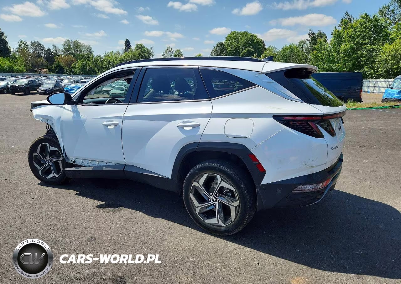 2022 Hyundai Tucson Limited VIN:5NMJECAE5NH161341 - 2