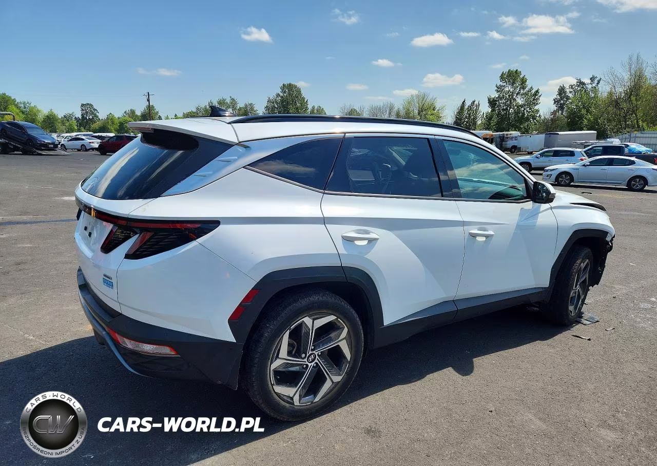 2022 Hyundai Tucson Limited VIN:5NMJECAE5NH161341 - 3