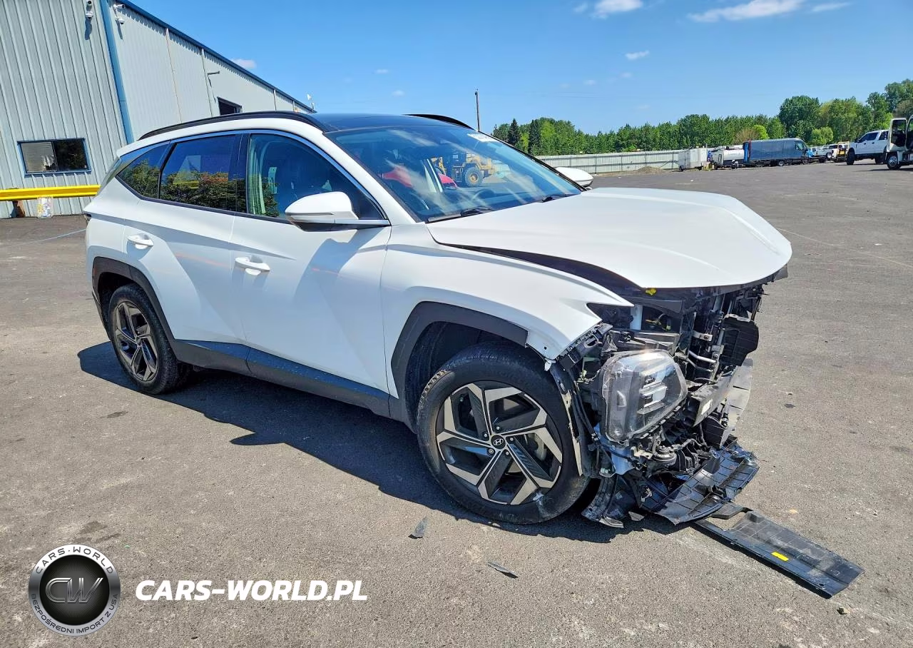 2022 Hyundai Tucson Limited VIN:5NMJECAE5NH161341 - 4