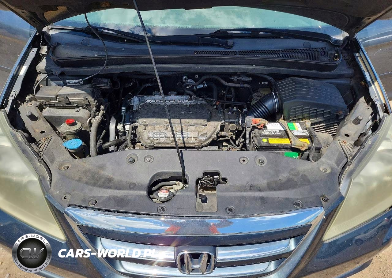 2006 Honda Odyssey Exl VIN:5FNRL38736B447840 - 12