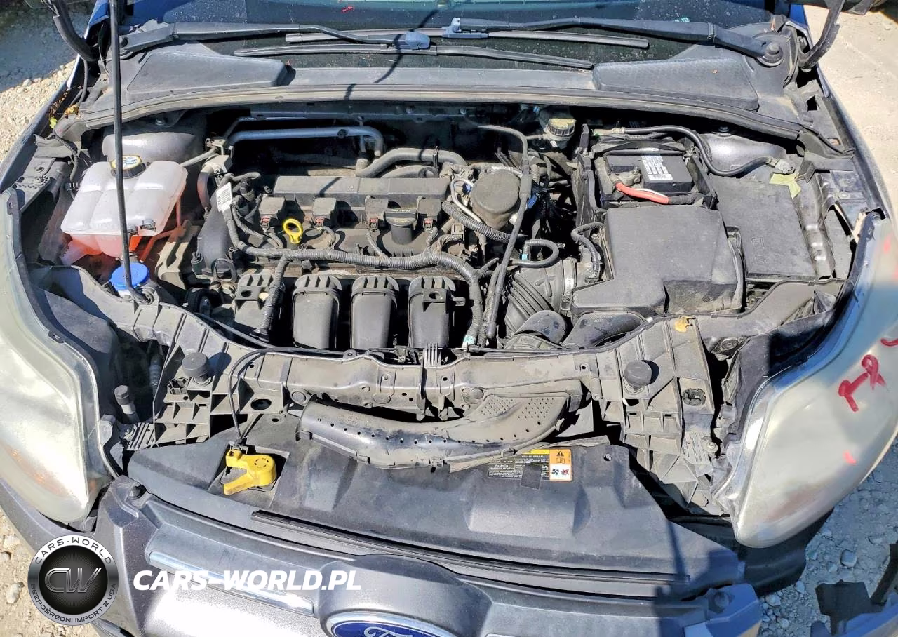 2014 Ford Focus Se VIN:1FADP3F25EL225436 - 11