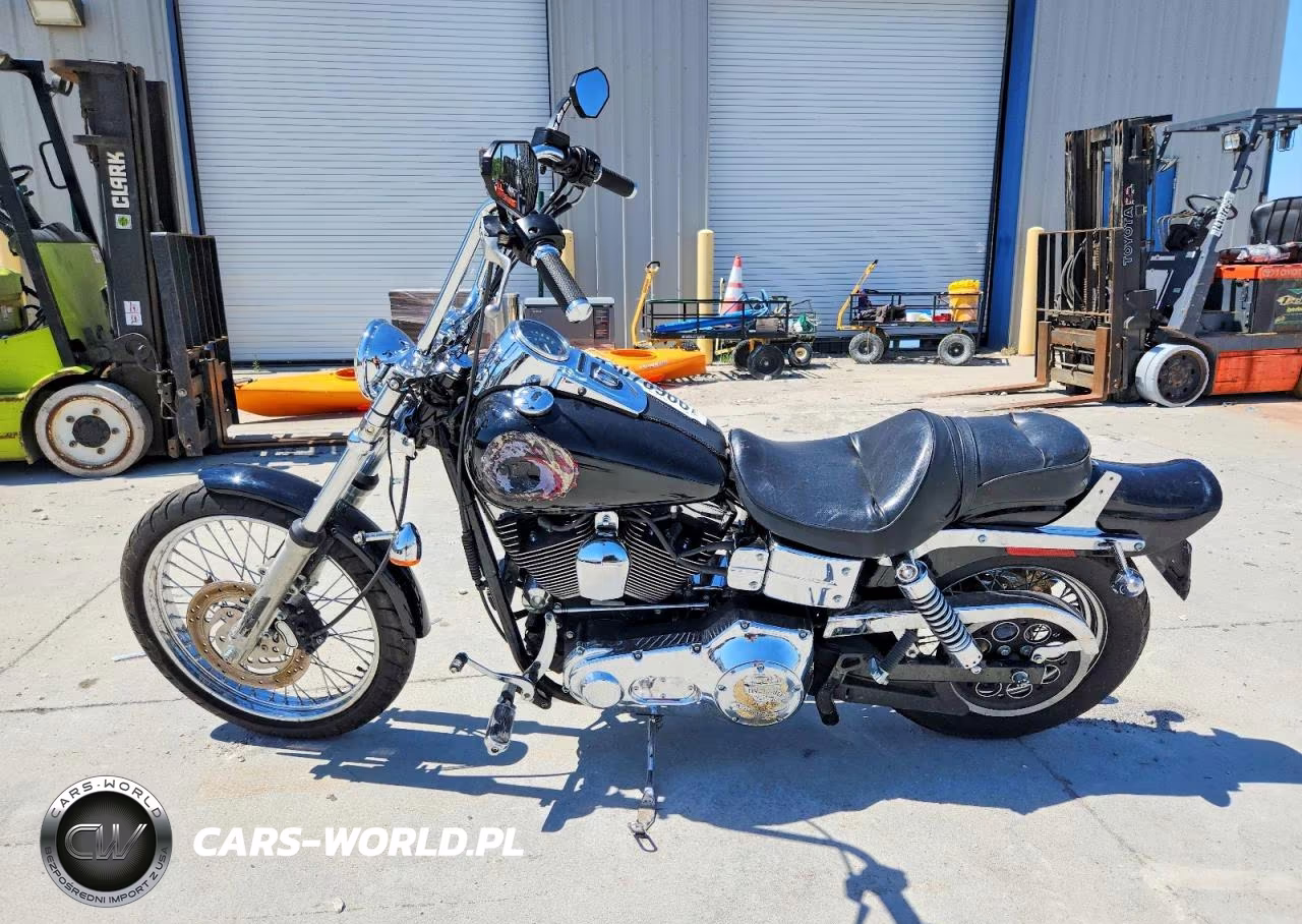 2004 Harley-Davidson Fxdwg VIN:1HD1GPW174K303035 - 3