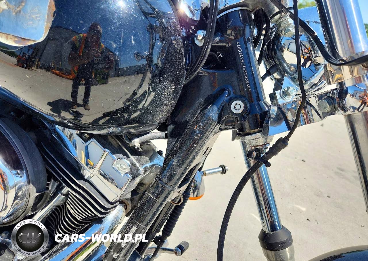 2004 Harley-Davidson Fxdwg VIN:1HD1GPW174K303035 - 8