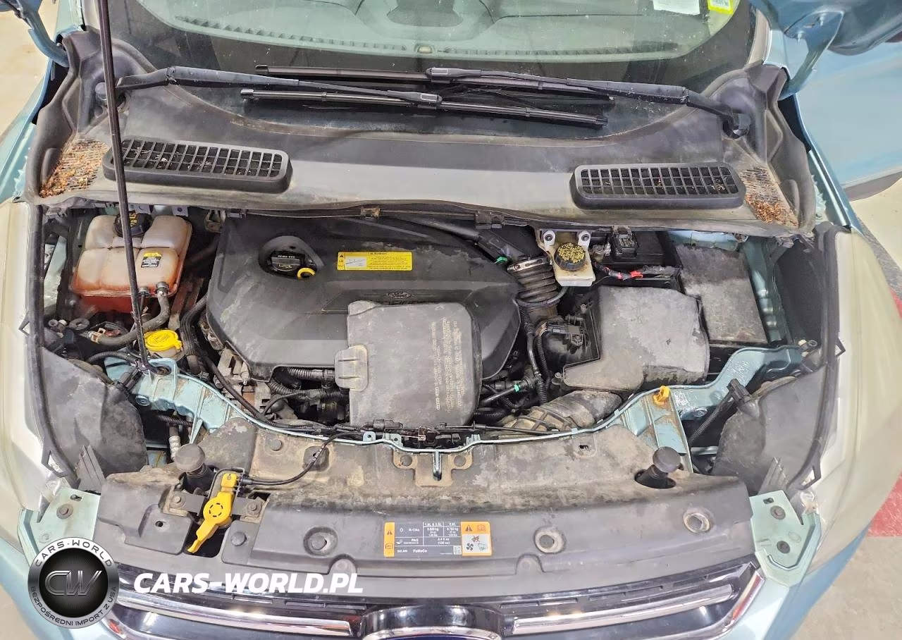2013 Ford Escape Sel VIN:1FMCU9HXXDUD31248 - 12