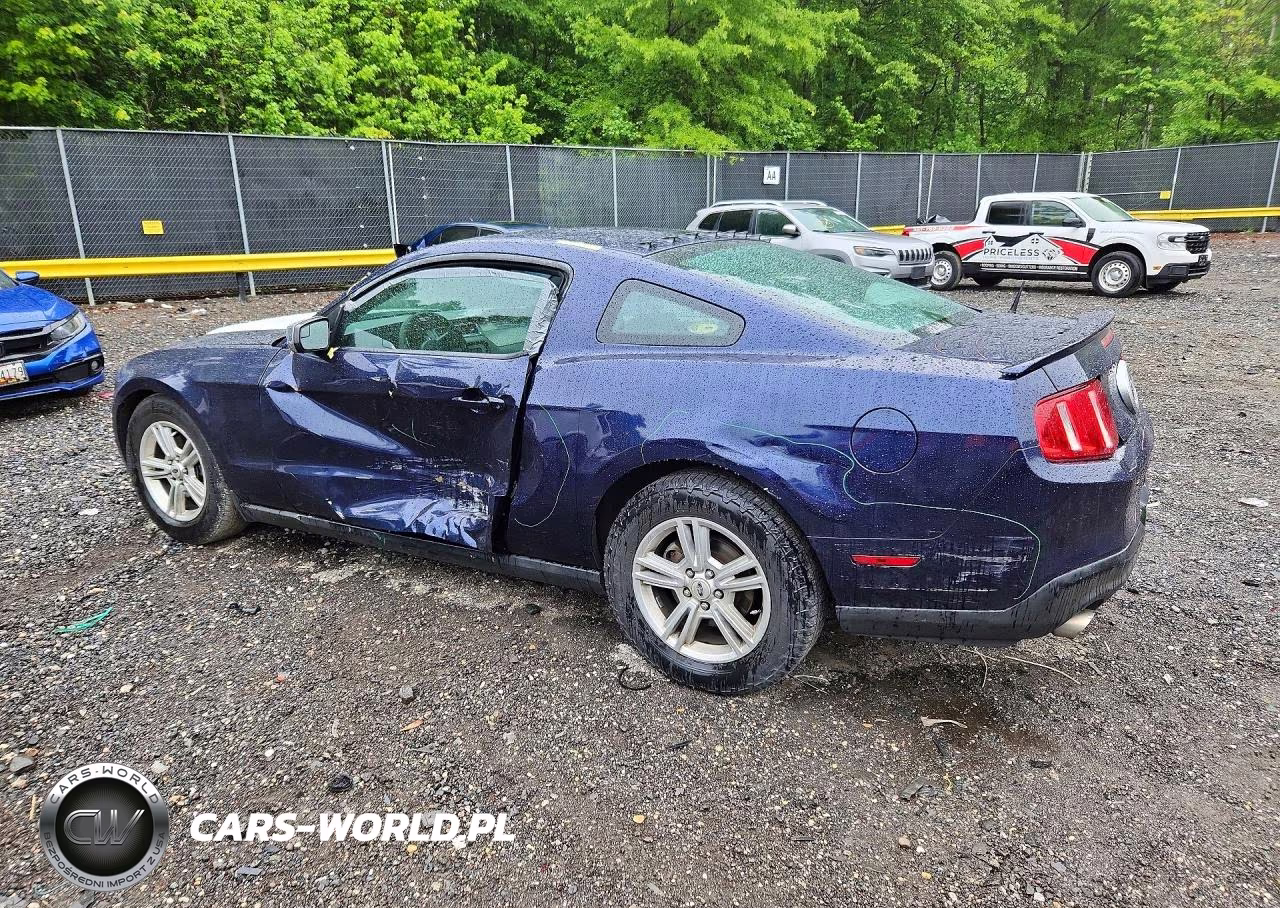 2011 Ford Mustang VIN:1ZVBP8AM5B5138351 - 2