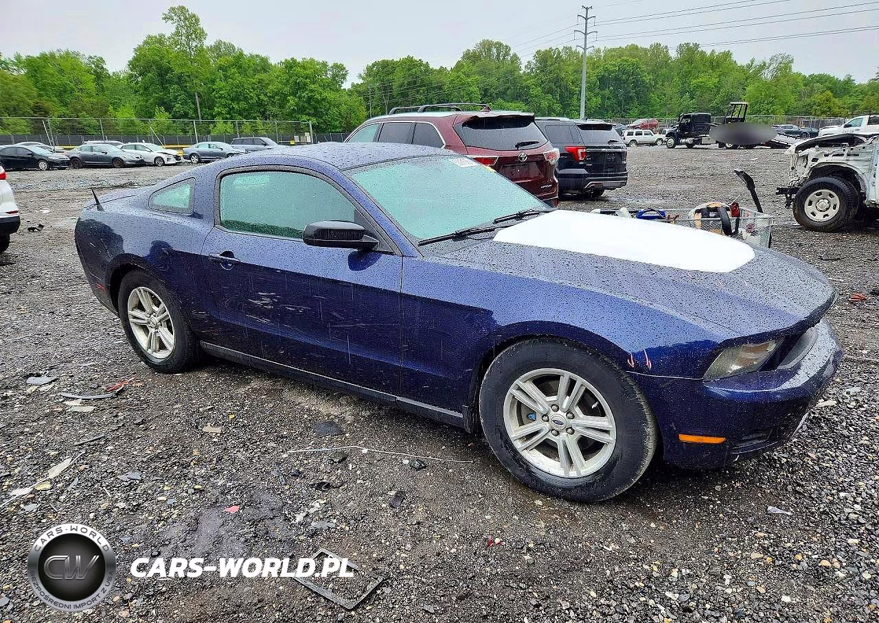 2011 Ford Mustang VIN:1ZVBP8AM5B5138351 - 4
